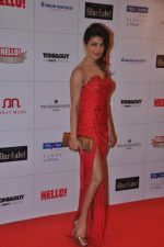 Priyanka Chopra at Hello hall of  fame awards 2013 in Palladium Hotel, Mumbai on 24th Nov 2013